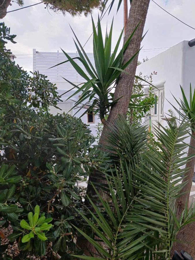 Cassaris Mykonos Villa Drafaki Exterior photo